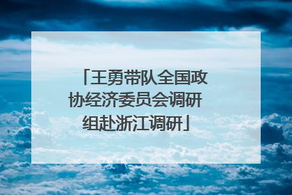 王勇带队全国政协经济委员会调研组赴浙江调研