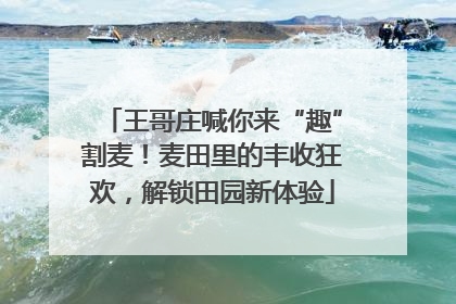 王哥庄喊你来“趣”割麦！麦田里的丰收狂欢，解锁田园新体验