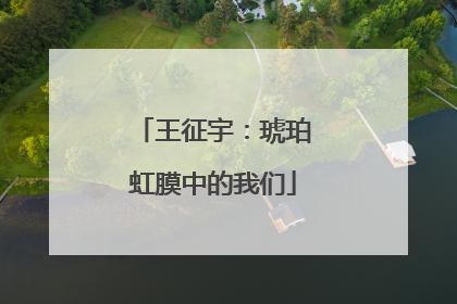 王征宇：琥珀虹膜中的我们