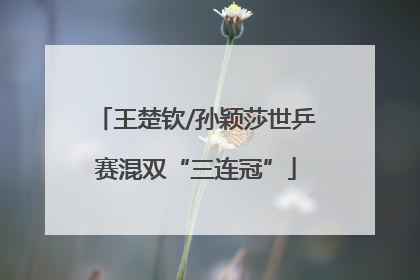 王楚钦/孙颖莎世乒赛混双“三连冠”