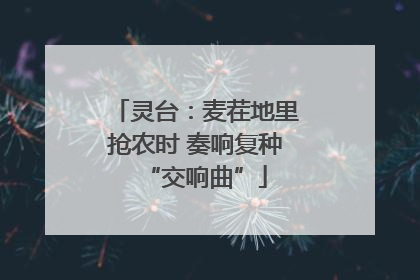灵台：麦茬地里抢农时 奏响复种“交响曲”