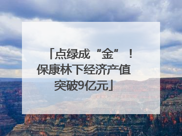 点绿成“金”！保康林下经济产值突破9亿元
