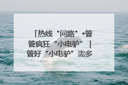热线“问路”•管管疯狂“小电驴”｜管好“小电驴”需多部门形成合力