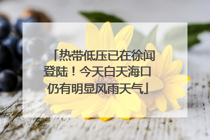 热带低压已在徐闻登陆！今天白天海口仍有明显风雨天气