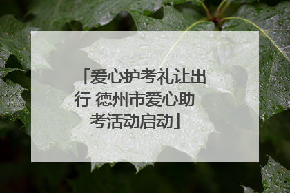 爱心护考礼让出行 德州市爱心助考活动启动