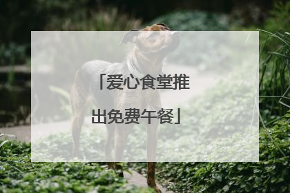 爱心食堂推出免费午餐