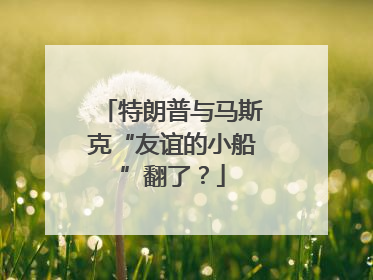 特朗普与马斯克“友谊的小船”翻了？