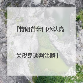 特朗普亲口承认高关税是谈判策略