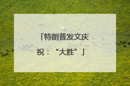 特朗普发文庆祝：“大胜”