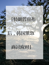 特朗普宣布后，韩国紧急商讨应对