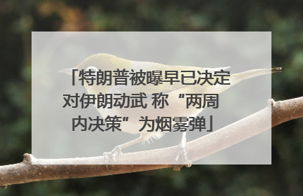 特朗普被曝早已决定对伊朗动武 称“两周内决策”为烟雾弹