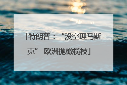 特朗普：“没空理马斯克” 欧洲抛橄榄枝
