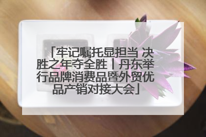 牢记嘱托显担当 决胜之年夺全胜丨丹东举行品牌消费品暨外贸优品产销对接大会
