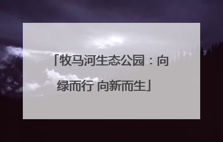 牧马河生态公园：向绿而行 向新而生