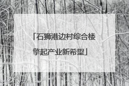 石狮港边村综合楼擎起产业新希望