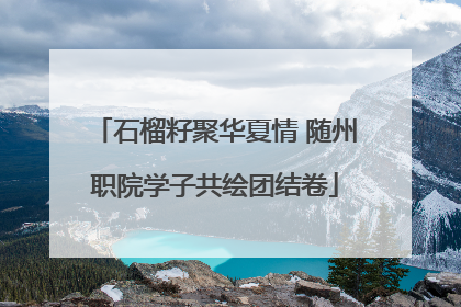石榴籽聚华夏情 随州职院学子共绘团结卷