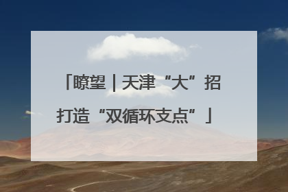 瞭望｜天津“大”招打造“双循环支点”