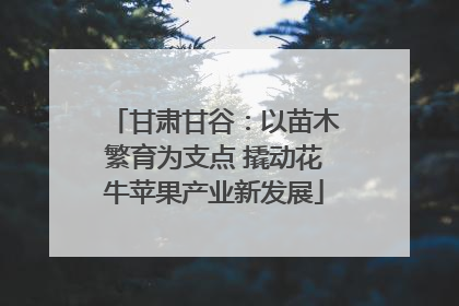 甘肃甘谷：以苗木繁育为支点 撬动花牛苹果产业新发展