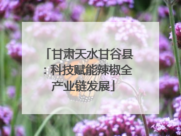 甘肃天水甘谷县：科技赋能辣椒全产业链发展