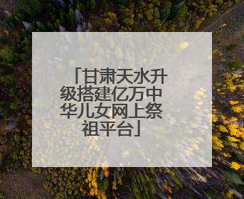 甘肃天水升级搭建亿万中华儿女网上祭祖平台