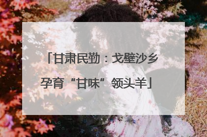 甘肃民勤：戈壁沙乡孕育“甘味”领头羊