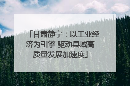 甘肃静宁：以工业经济为引擎 驱动县域高质量发展加速度
