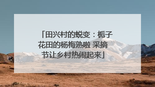 田兴村的蜕变：栀子花田的杨梅熟啦 采摘节让乡村热闹起来