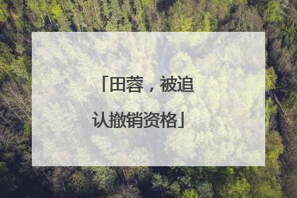 田蓉，被追认撤销资格