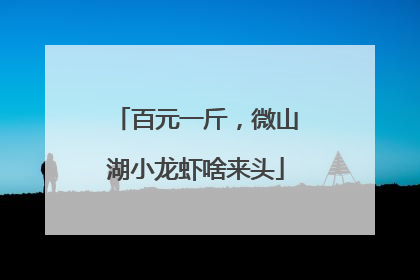 百元一斤，微山湖小龙虾啥来头
