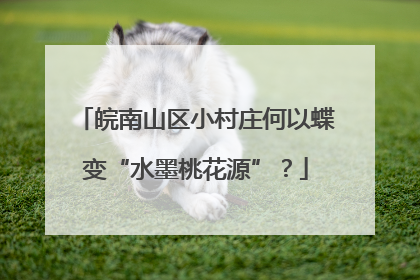 皖南山区小村庄何以蝶变“水墨桃花源”？