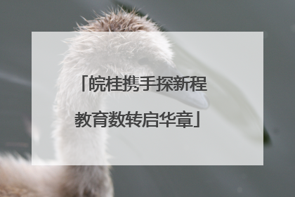 皖桂携手探新程 教育数转启华章