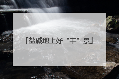 盐碱地上好“丰”景