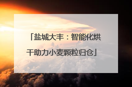 盐城大丰：智能化烘干助力小麦颗粒归仓