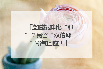盗贼挑衅比“耶”？民警“双倍耶”霸气回应！
