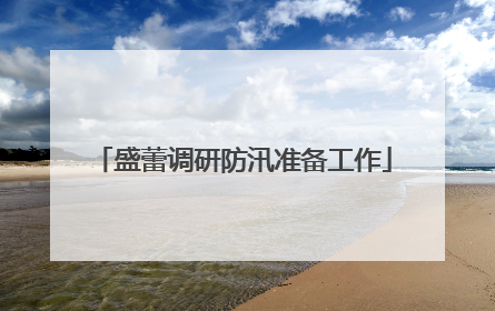盛蕾调研防汛准备工作