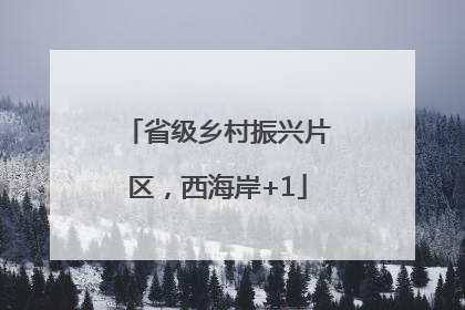 省级乡村振兴片区，西海岸+1