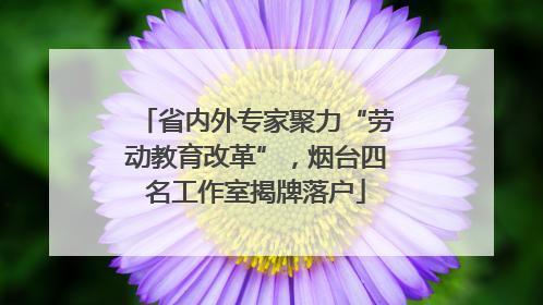 省内外专家聚力“劳动教育改革”，烟台四名工作室揭牌落户