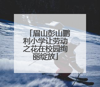 眉山彭山鹏利小学让劳动之花在校园绚丽绽放