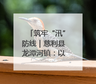 筑牢“汛”防线｜慈利县龙潭河镇：以雷霆行动迎战暴雨洪峰