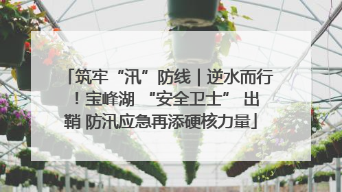 筑牢“汛”防线｜逆水而行！宝峰湖 “安全卫士” 出鞘 防汛应急再添硬核力量
