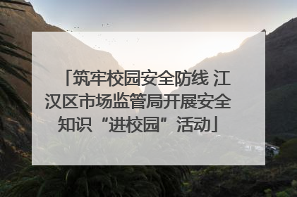 筑牢校园安全防线 江汉区市场监管局开展安全知识“进校园”活动