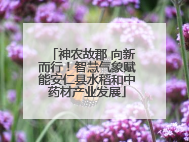 神农故郡 向新而行！智慧气象赋能安仁县水稻和中药材产业发展