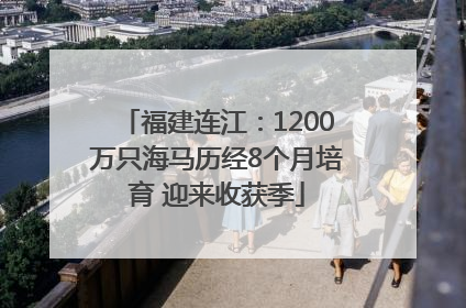 福建连江：1200万只海马历经8个月培育 迎来收获季