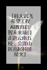 科大讯飞·希望工程AI教育启智未来项目走进云南五校，会泽山区亮起科技星火