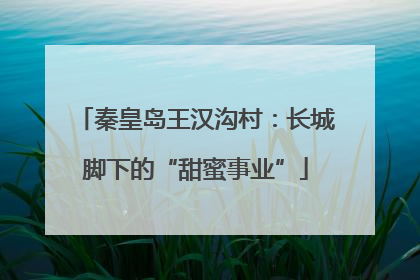 秦皇岛王汉沟村：长城脚下的“甜蜜事业”