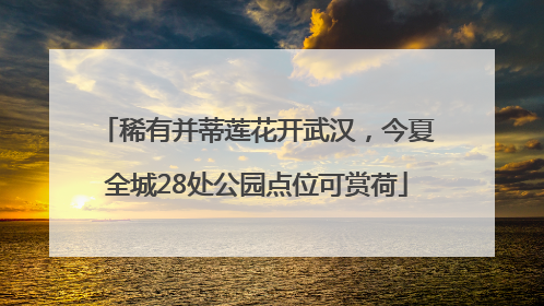 稀有并蒂莲花开武汉，今夏全城28处公园点位可赏荷