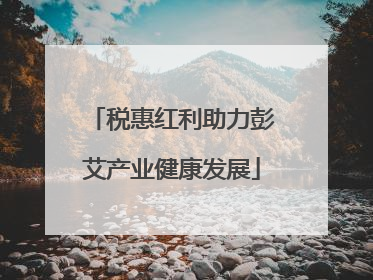 税惠红利助力彭艾产业健康发展