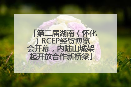 第二届湖南（怀化）RCEP经贸博览会开幕，内陆山城架起开放合作新桥梁