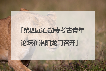 第四届石窟寺考古青年论坛在洛阳龙门召开