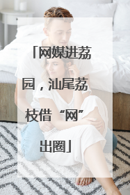 网媒进荔园，汕尾荔枝借“网”出圈